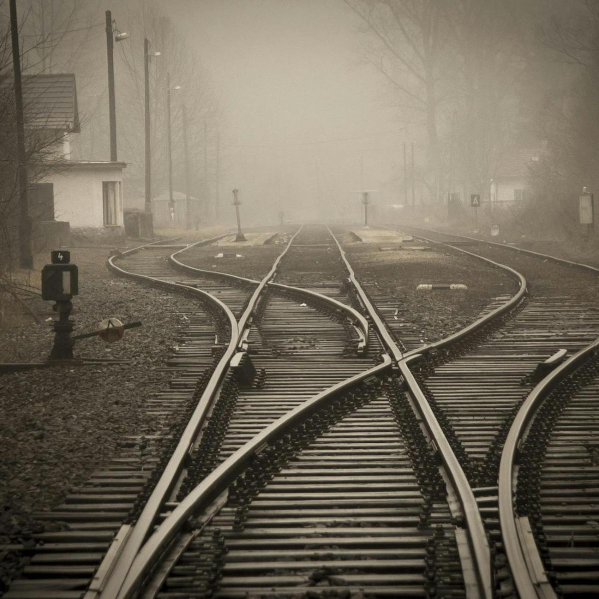 Decisions, Decisions