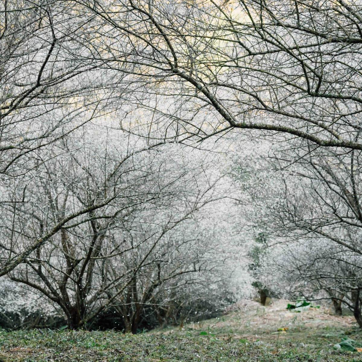 Why I Love&nbsp;Winter