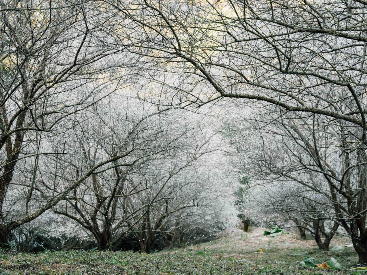 Why I Love&nbsp;Winter